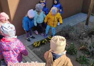 Zdjęcie dzieci podziwiających żółte żonkile.